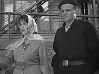   (1964)