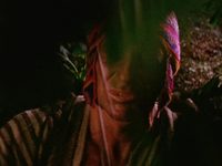  :     (1981)
