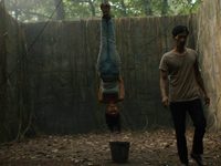 .   (2019)