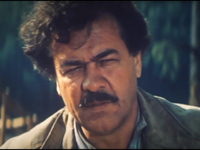     (1978)