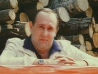    (1981)