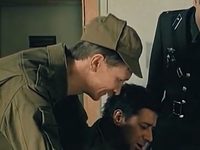   (1991)