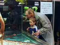  (2005)