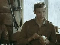   (1982)