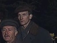    (1983)