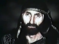  (1981)