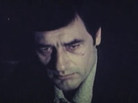   (1981)