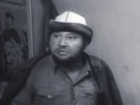 Материнское поле (1967)