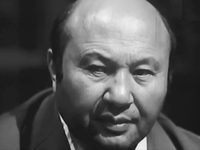 Провинциальный роман (1981)