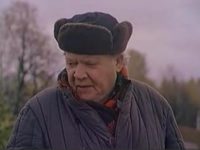   (1991)