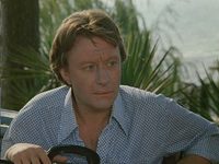    (1981)
