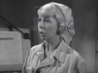   (1966)