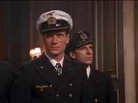   (1981)