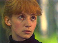  (1981)
