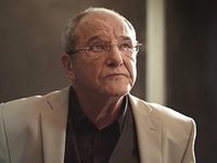     (2017)