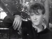   (1961)