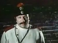   (1981)