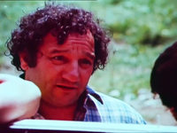  (1981)