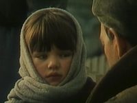     (1986)