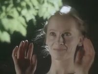   (1981)