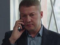  (2017)