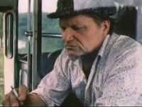     (1982)
