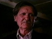 ׸  (1994)