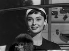  (1954) -  6