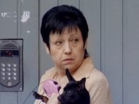 -8 (2011)