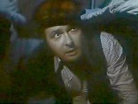 34-  (1981)