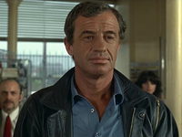  (1981)