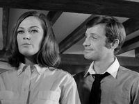    (1964)