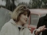  (1987)