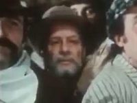 ,   (1982)