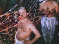    (1993)