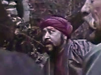     (1981)