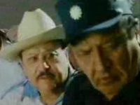  (2004)