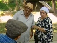      (2004)