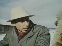    ... (1991)