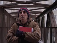   (2017)