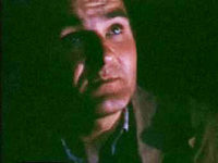  (1981)