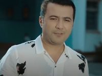   (2017)