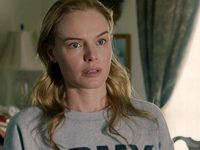    (2017)
