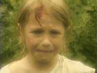   (2004)