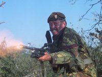 Йен Юли