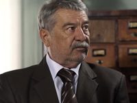   (2011)