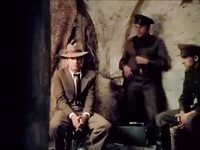 -43 (1980)
