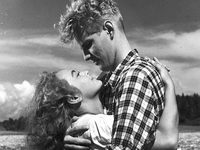   (1953)
