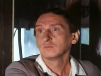    (1981)