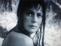   -  (1968)